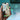 Hand holding a modern iPhone with apps visible on the screen, blurred electronics store background